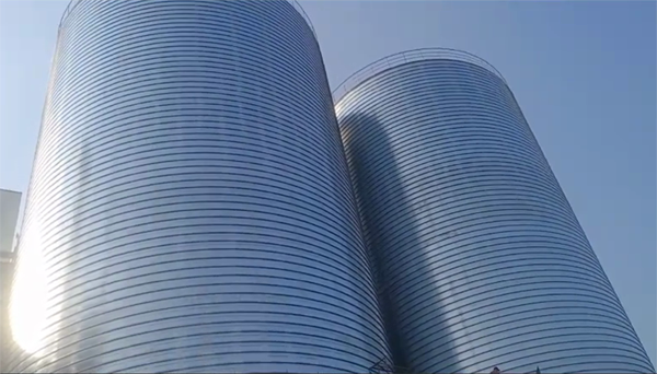 尖山2座混凝土高架卷板仓